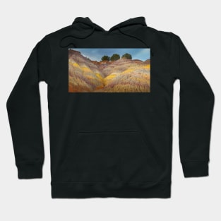 Colorful Clay Beds Hoodie